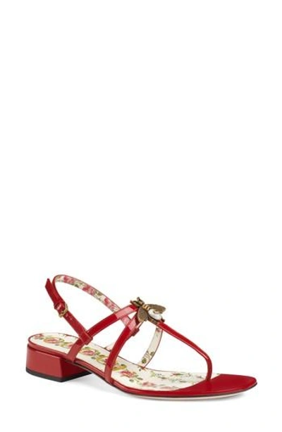 Gucci Bee Thong Sandal In Hibiscus Red