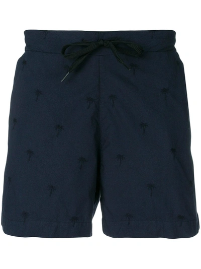 Tomas Maier Palm Tree Embroidered Shorts