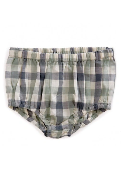 Pehr Babies' Checkmate Organic Cotton Bloomers In Green