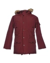 Carhartt Jacket In Maroon