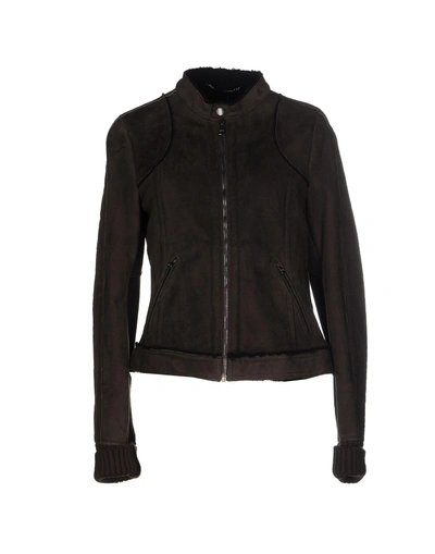 Dolce & Gabbana Leather Jacket In Dark Brown