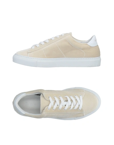 Dondup Sneakers In Beige