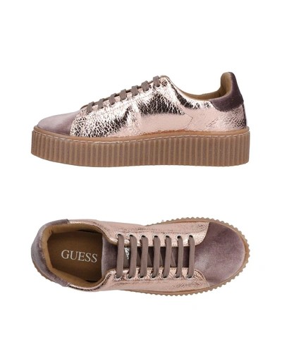 Guess Sneakers In Dove Grey