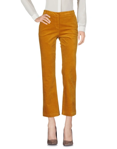 True Royal Pants In Camel