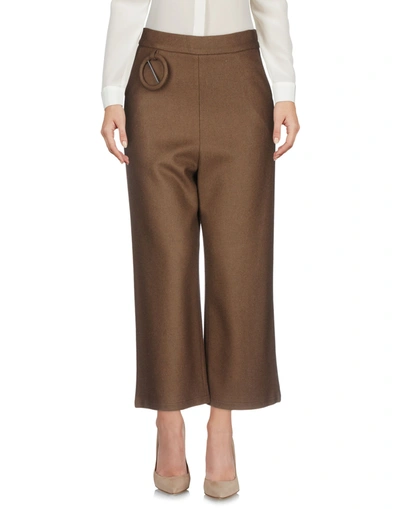 Tpn Casual Pants In Brown