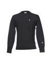 Champion Sweatshirt In Black