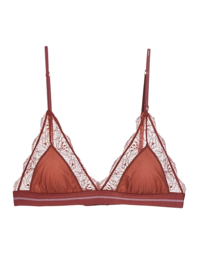 Love Stories Bra In Brick Red