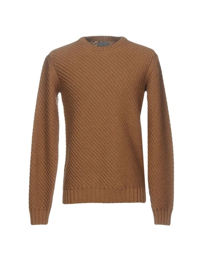 Laneus Sweater In Brown