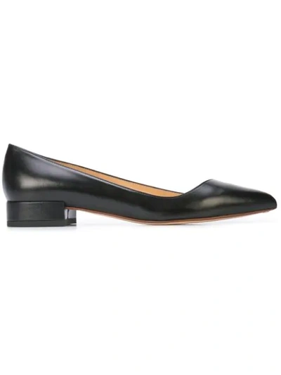 Francesco Russo Pointed Toe Ballerina Shoes In Black