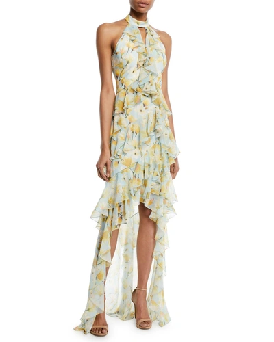 Badgley Mischka Floral High-low Ruffle Halter Gown In Light Blue