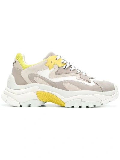 Ash Sneakers Mit Oversized-sohle In Grey/yellow