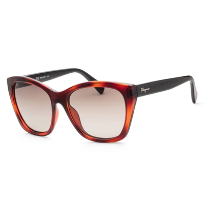 Ferragamo Women's Sf957s-214 Fashion 56mm Tortoise Sunglasses In Grey