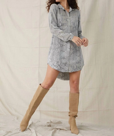 Bella Dahl Hipster Dress In Hand Painted Snake Print In Multi