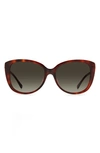 Kate Spade 57mm Lorene Cat Eye Sunglasses In Havana/ Brown Gradient