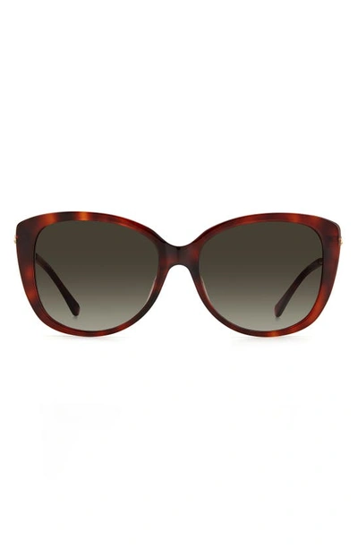 Kate Spade 57mm Lorene Cat Eye Sunglasses In Havana/ Brown Gradient