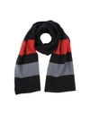 Tomas Maier Scarves In Black