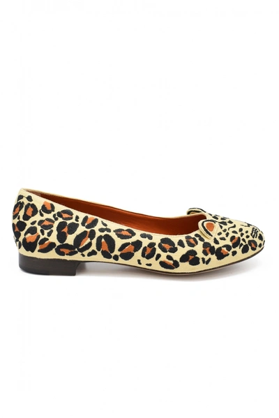 Charlotte Olympia Women Luxury Shoes   Fendi Borchie Bordeaux And Blue Ballet Flats In Ivory