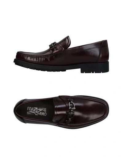 Ferragamo Loafers In Dark Brown