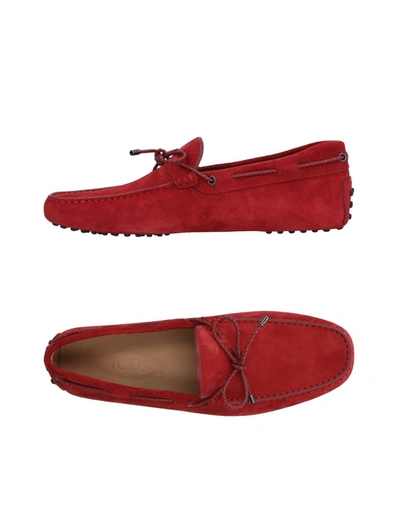 Tod's In Maroon