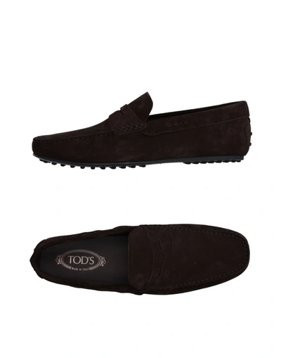 Tod's Loafers In Brown