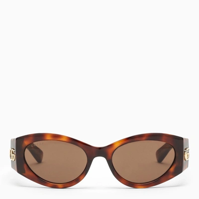 Gucci Tortoiseshell Cat-eye Sunglasses In Brown