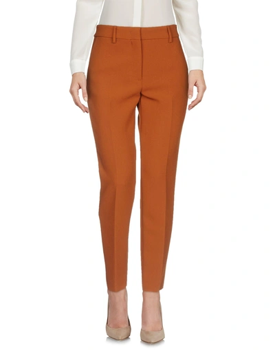 Msgm Casual Pants In Brown