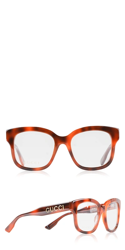 Gucci Script Acetate Optical Glasses