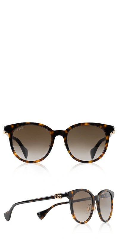 Gucci Mini Running Cat Eye Acetate Sunglasses