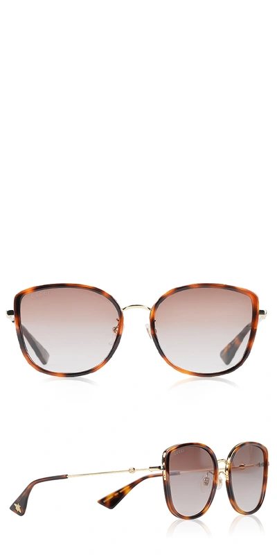 Gucci Oversized Cat Eye Acetate Sunglasses Havana