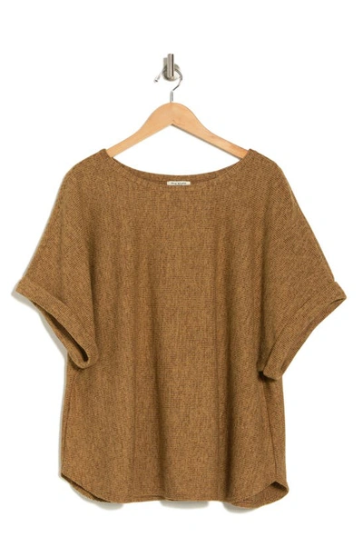 Max Studio Dolman Short Sleeve Top In Vicuna