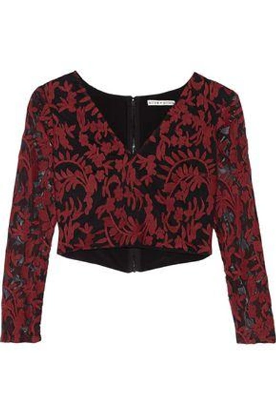 Alice And Olivia Leilani Cropped Embroidered Tulle Top In Claret