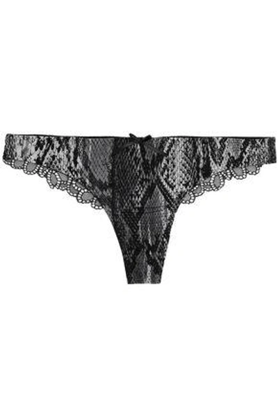 Just Cavalli Underwear Woman Low-rise Snakeskin-print Stretch-knit Lace Briefs Black