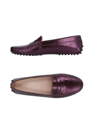 Tod's Loafers In Dark Purple