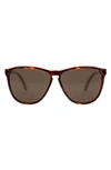 Electric Encelia 62mm Polarized Oversize Sunglasses In Gloss Tort/ Bronze Polar