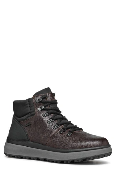 Geox Men's Granito Grip B Lace Up Boots In Coffee