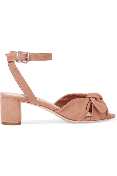 Loeffler Randall Jill Knotted Suede Ankle-strap Sandals In Buff Pink
