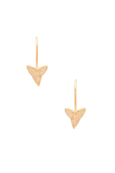 Joolz By Martha Calvo Big Johns Shark Tooth Earrings In Metallic Gold