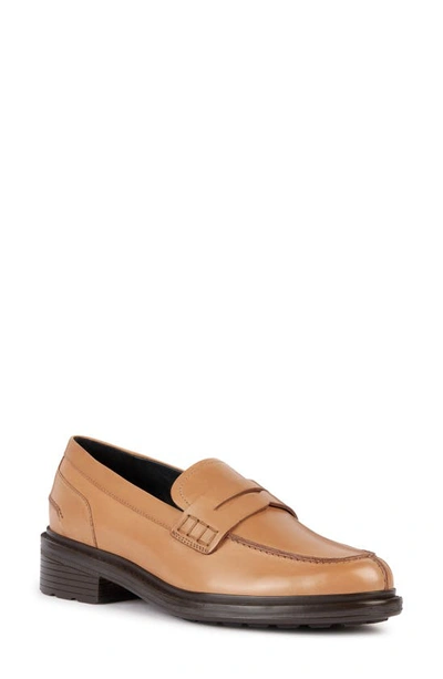 Geox Pleasure Walk Penny Loafer In Light Brown