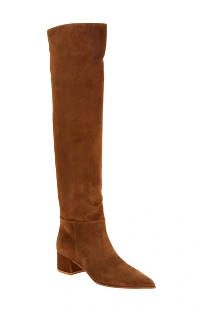 Gianvito Rossi Pointed Toe Over The Knee Boot In Texas