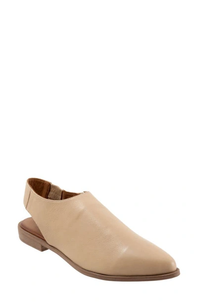 Bueno Brianna Pointed Toe Slingback Flat In Taupe