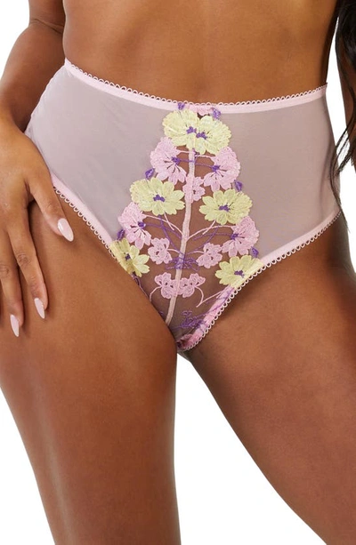 Playful Promises Luna Pastel High Waist Briefs In Pastel Embroidery