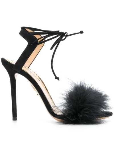 Charlotte Olympia Salsa 110 Feather-trimmed Sandals In Black