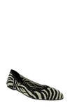 Mia Kerri Pointed Toe Flat In New Zebra