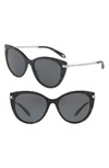 Tiffany & Co 55mm Gradient Cat Eye Sunglasses - Red Havana Solid In Nocolor
