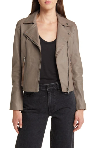 Allsaints Dalby Leather Biker Jacket In Stone Grey