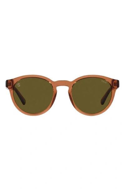 Polo Ralph Lauren 51mm Round Sunglasses In Brown