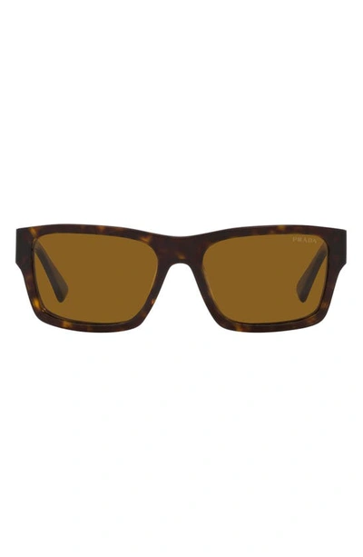 Prada 56mm Rectangular Sunglasses In Tortoise