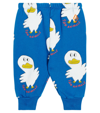 The Animals Observatory Baby Dromedary Cotton Sweatpants In Blue