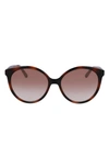 Ferragamo 58mm Tea Cup Full Rim Sunglasses In Tortoise