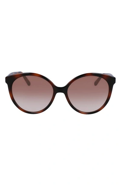 Ferragamo 58mm Tea Cup Full Rim Sunglasses In Tortoise